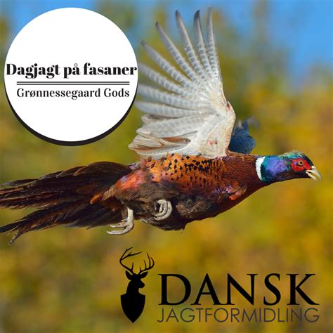 danskjagtformidling|Dansk Jagtformidling (@danskjagtformidling.dk)